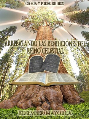 cover image of Arrebatando las Bendiciones del Reino Celestial